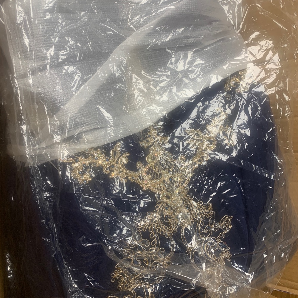 Navy Blue and Gold Ball Gown